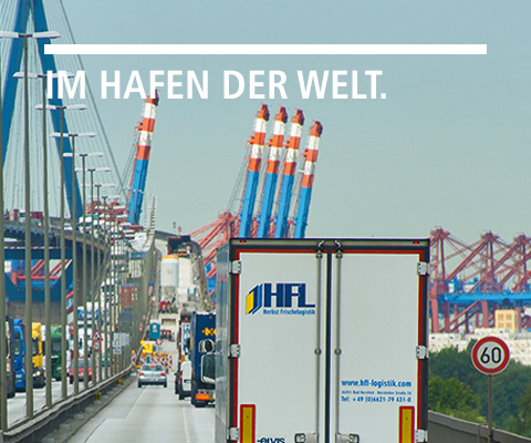 Im Hafen Der Welt. MOBIL